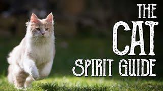 The Cat Spirit Guide - Ask the Spirit Guides Oracle Totem Animal - Power Animal - Magical Crafting