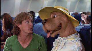 Scooby-Doo (2002) Movie Clip - Bad Grandma