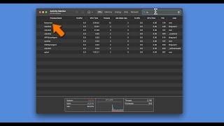 Fix fseventsd high CPU and high memory usage on your Mac