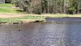 Babson Creek Preserve Land