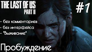 The Last Of Us 2 - #1 Начало - БЕЗ КОММЕНТАРИЕВ - БЕЗ ИНТЕРФЕЙСА - ВЫЖИВАНИЕ