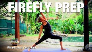 Firefly Pose Yoga Class - Building up to Firefly - Five Parks Yoga