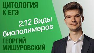 2.12. Виды биологических полимеров | Цитология к ЕГЭ | Георгий Мишуровский