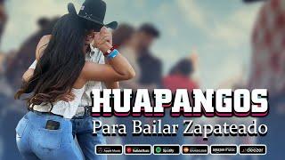 Mix de Huapangos 2024 ~ Huapangos Para Bailar Zapateado ~ Puros Huapangos Para Bailar Mix 2024