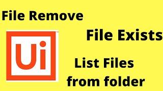 File Delete in UiPath RPA | Path Exists in UiPath |List all files from folder in uipath