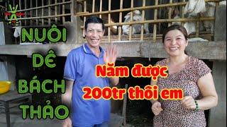 Nuôi Dê Bách Thảo năm kiếm nhẹ nhẹ 200tr | khởi nghiệp TV