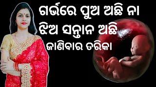 ଗର୍ଭରେ ପୁଅ ଅଛି ନା ଝିଅ ସନ୍ତାନ ଅଛି ! ଜାଣିବାର ତରିକା | Gender prediction methods | Pregnancy Myths