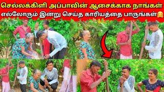 செல்லக்கிளி அப்பாவின் ஆசைக்காக செய்த செயல்|jaffna|tamil|VKJT VLOG