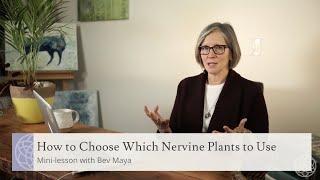 How to Choose Which Nervine Plants to Use | Mini-lesson with Bev Maya