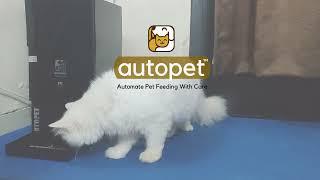 Autopet  I Automatic pet cat dog Food Dispenser  Wifi and manual timer Feeder I Customer Video