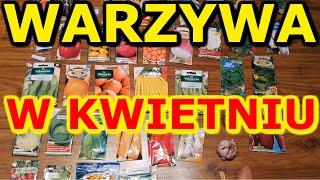 Jakie warzywa siać w KWIETNIU | Zaplanuj Warzywnik