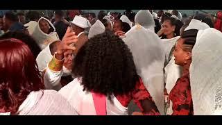 እቲ ወናም ድምፃዊ ስምዖን ተወልደ ( ጋርዛ )  አብ መድረኽ ( ዋናዶ ) እናበለ ዝተፃወቶ ዝገርም ጋይላ  ( 2024 )