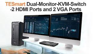 [TESmart] Dual-Monitor-KVM-Switch (2 HDMI Ports and 2 VGA Ports)