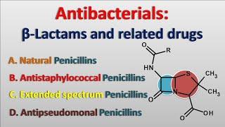 Antibacterials || Beta-lactam antibiotics and related drugs