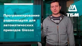 Как запрограммировать радиомодуль для автоматических приводов Giesse