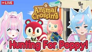 【ACNH】(FOUND!) VILLIAGER HUNTING! Todays Target: Poppy! LIVE