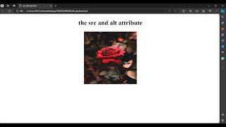 The alt, width and height attribute | @learncoding78690