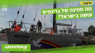 מיוחד: מה ספינה של גרינפיס עושה בישראל?