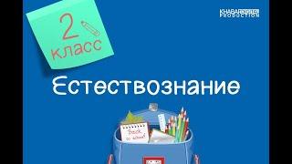 Естествознание. 2 класс. Сколько весит твой рюкзак? /18.11.2020/