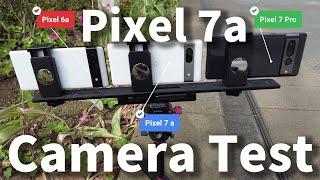 Pixel 7a camera review! Compare Pixel 7 Pro and Pixel 6a