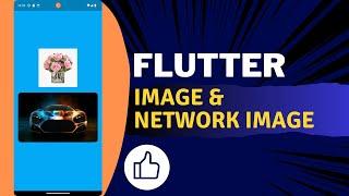 Flutter Image Network Image..!