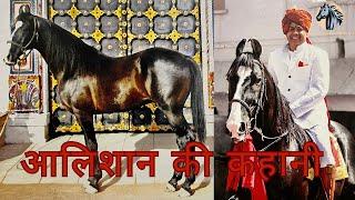 आलिशान की कहानी,ठाकुर सिद्दार्थ सिंह जी की ज़ुबानी. The story of legendary stallion Alishaan.