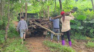 2 days of hard work finding and gathering firewood to sell | Ly Thi Duyen