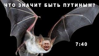 ЧТО ЗНАЧИТ БЫТЬ ПУТИНЫМ?