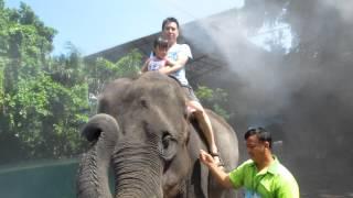 Safari World  Elephant Riding