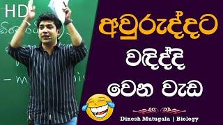 අවුරුද්දට වඳිද්දි වෙන වැඩ  | Dinesh Muthugala | #dineshmuthugala #muthugalasir