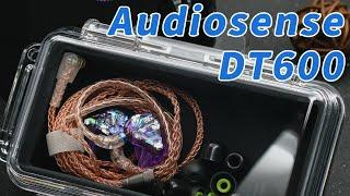 Audiosense DT600 6BA IEMs Unboxing!