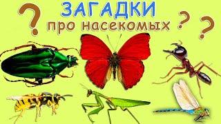 Загадки про НАСЕКОМЫХ. Угадай насекомых. Развивающий детский  мультик загадка