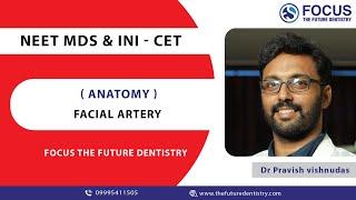 Facial Artery | NEET MDS | INI -CET |  Anatomy | Focus The Future Dentistry