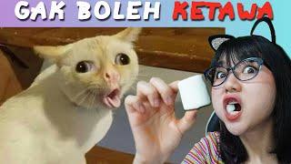 SAMPAI KETAWA MASUKIN 1 MARSHMELLO KE MULUT !! - TRY NOT TO LAUGH