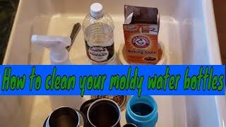 How to Clean Moldy Water Bottles