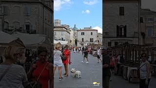 Assisi, Italy #umbria #assisi #letswalktogether #italia