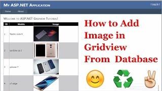 How to Display Image from Database in Gridview in Asp.Net