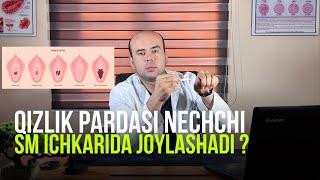 QIZLIK PARDASI NECHCHI SM ICHKARIDA JOYLASHADI ?