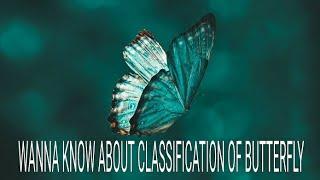 Classification of butterflys introduction video    classification of butterfly's.                  .