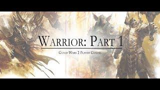 Guild Wars 2 | New Player Guide: The Warrior Part 1 | The Krytan Herald