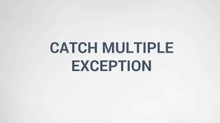 161. Catch Multiple Exceptions.