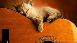 Ultimate Relaxing Guitar Music Collection | #playlist