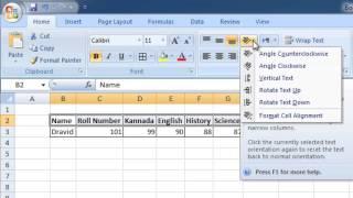 MS-Excel 2007 - Orientation, Wrap Text, Merge & Center