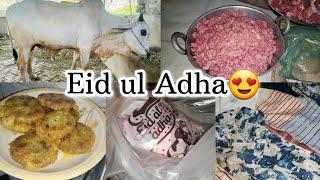 Eid ul Adha Mubarak My Youtube family️ | Eid Ul Adha 2024 |Baqra Eid Vlog|