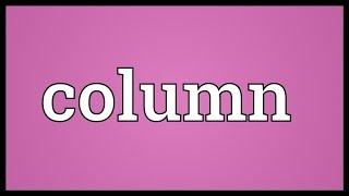 Column Meaning