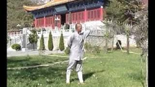 Shaolin Yi Jin Jing Muscle & Tendon Changing Classic