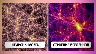 Дольмены - Нейросеть Вселенной. Истина - Дмитрий Дмитриев