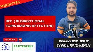 MiniBytes by Route Genix | BFD Bidirectional Forwarding Detection