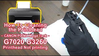 CANON Pixma MegaTank G6020 G5020 G7020 G3260 Printhead Not printing --How To Cleaning  the Printhead