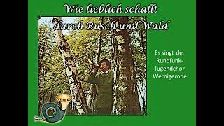 Wie lieblich schallt durch Busch und Wald - RundfunkJugendChor Wernigerode